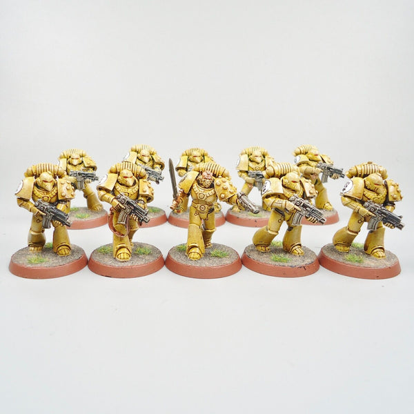 Warhammer 30k Horus Heresy Army Space Marines Imperial Fists Tactical Marines