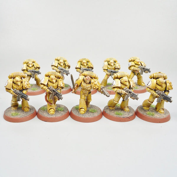 Warhammer 30k Horus Heresy Army Space Marines Imperial Fists Tactical Marines