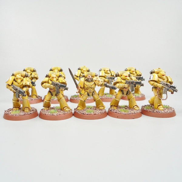 Warhammer 30k Horus Heresy Army Space Marines Imperial Fists Tactical Marines