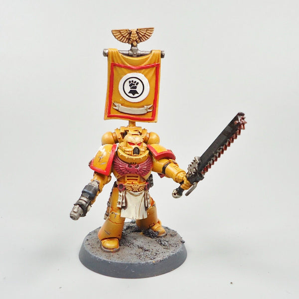 Warhammer 40k Army Space Marines Imperial Fists Lieutenant Painted