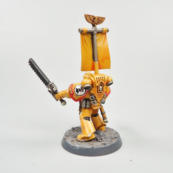 Warhammer 40k Army Space Marines Imperial Fists Lieutenant Painted