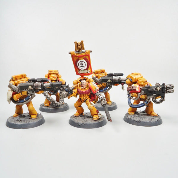 Warhammer 40k Army Space Marines Imperial Fists Devastator Squad Painted