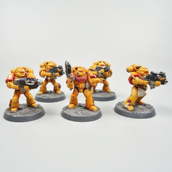 Warhammer 40k Army Space Marines Imperial Fists 5 Man Squad Painted