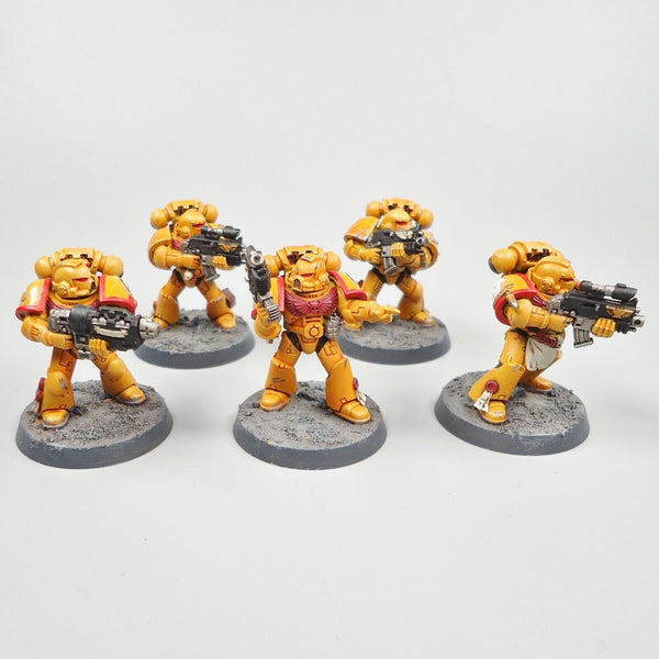 Warhammer 40k Army Space Marines Imperial Fists 5 Man Squad Painted