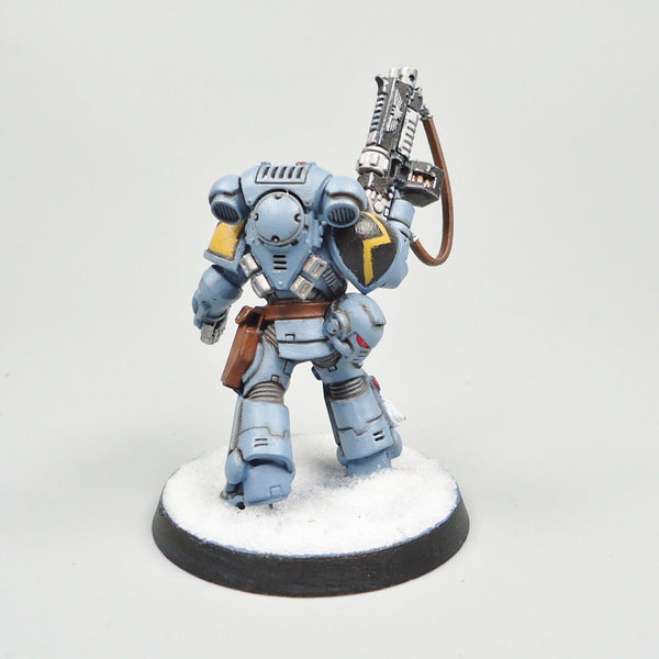 Warhammer 40k Army Space Marines Space Wolves Lieutenant Painted
