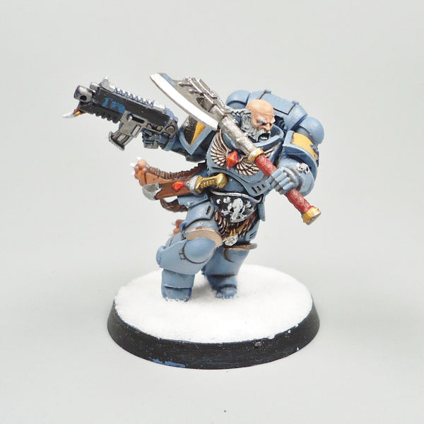 Warhammer 40k Army Space Marines Space Wolves Character Painted