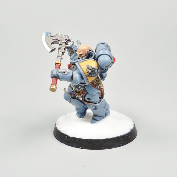 Warhammer 40k Army Space Marines Space Wolves Character Painted