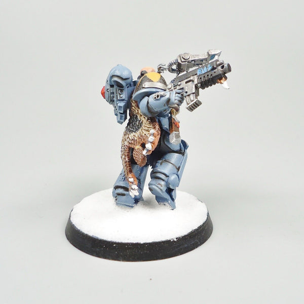 Warhammer 40k Army Space Marines Space Wolves Character Painted
