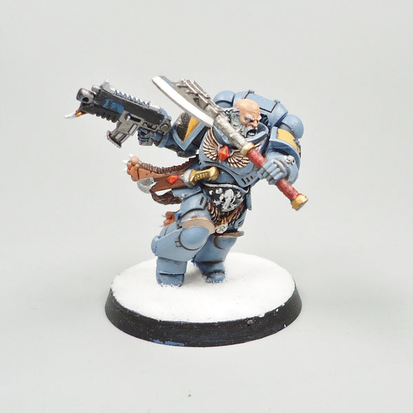 Warhammer 40k Army Space Marines Space Wolves Character Painted