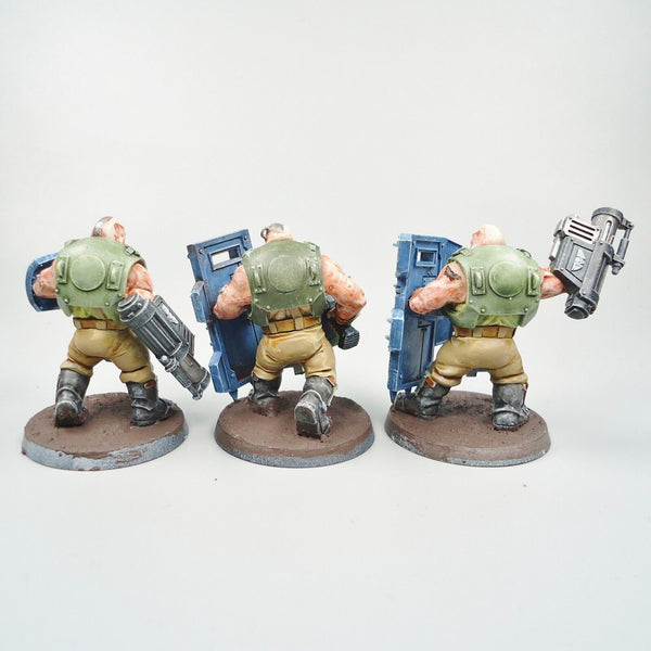 Warhammer 40k Army Astra Militarum Bullgryns x3 Painted