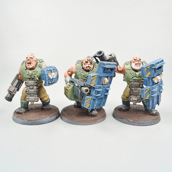 Warhammer 40k Army Astra Militarum Bullgryns x3 Painted