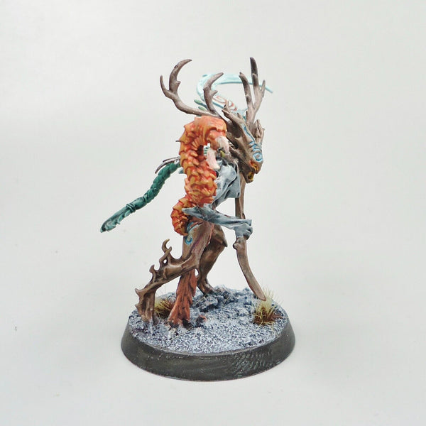 Warhammer Fantasy Age of Sigmar Army Sylvaneth Branchwraith Painted