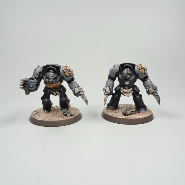 Warhammer 40k Army Space Marines Raven Guard Terminators x5 - GW and 3D Print