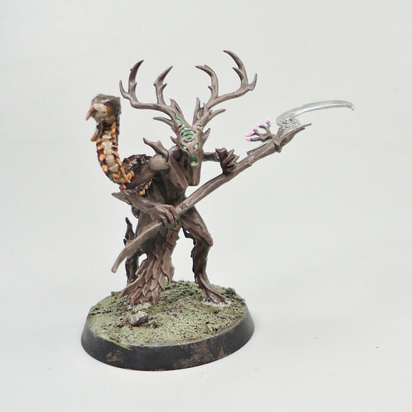 Sylvaneth Branchwych Painted - Warhammer Fantasy Age of Sigmar Army