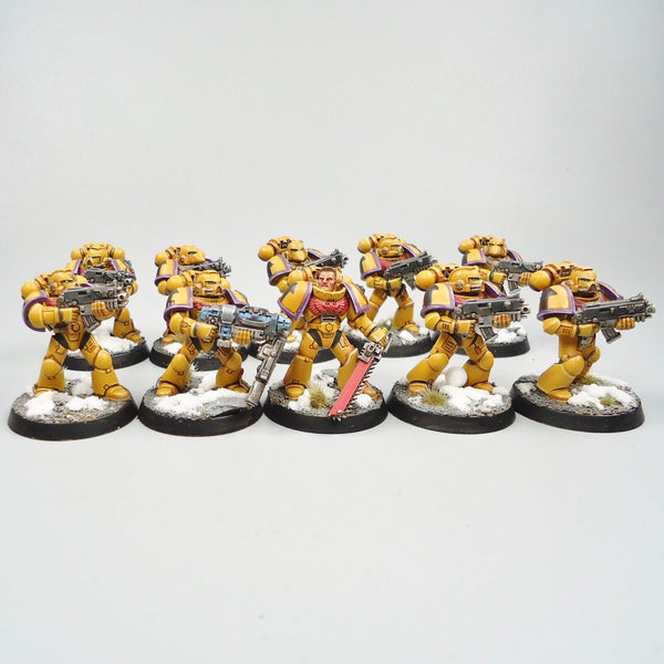 Warhammer 40k Army Space Marines Imperial Fists Tactical Squad Painted