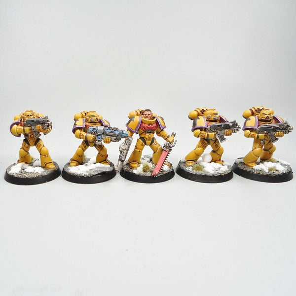 Warhammer 40k Army Space Marines Imperial Fists Tactical Squad Painted