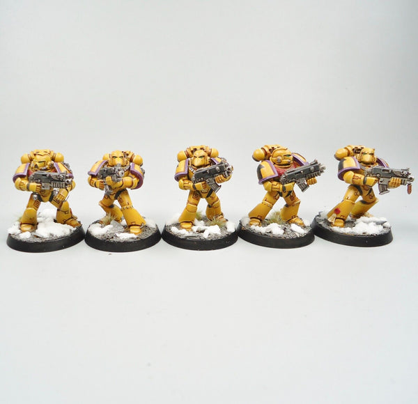 Warhammer 40k Army Space Marines Imperial Fists Tactical Squad Painted