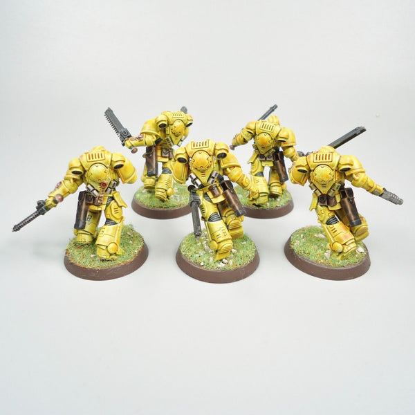 Warhammer 40k Army Space Marines Imperial Fists Assault Intercessors x5 Painted