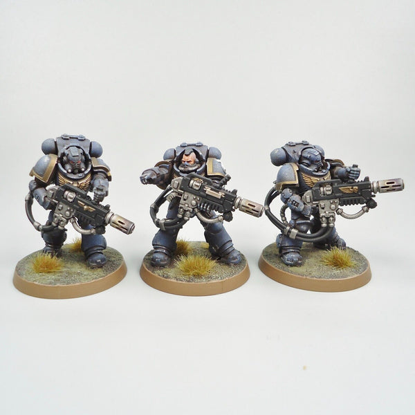 Warhammer 40k Army Space Marines Ultramarines Eradicators x3 Painted