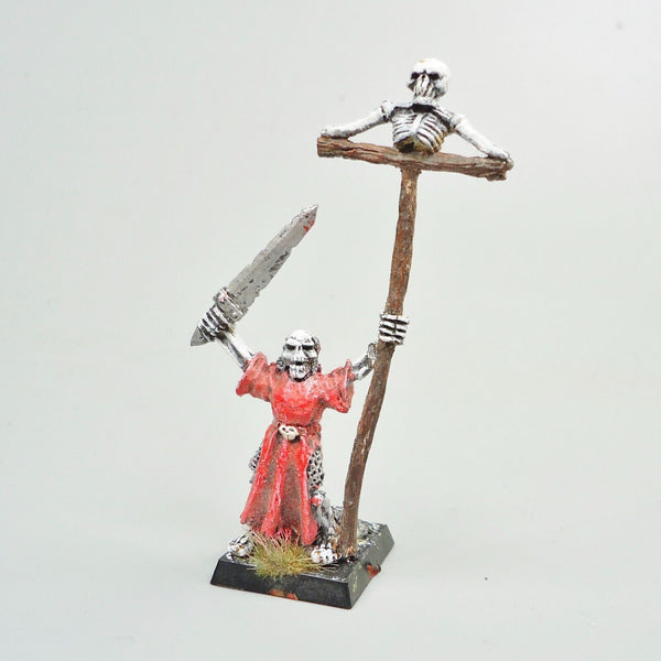 Warhammer Fantasy Age of Sigmar Vampire Counts Character Painted