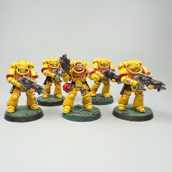 Warhammer 40k Army Space Marines Imperial Fists Primaris Intercessors x5 Painted