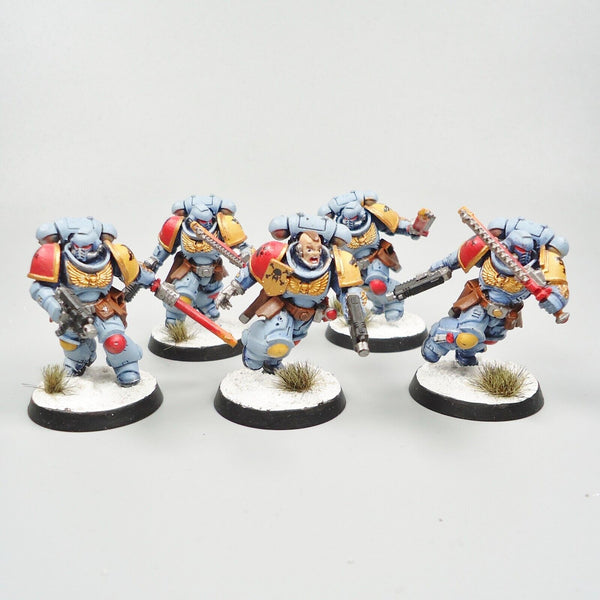 Warhammer 40k Space Marines Space Wolves Assault Intercessors x5 Painted