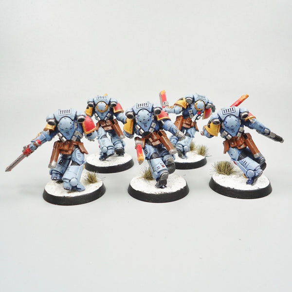 Warhammer 40k Space Marines Space Wolves Assault Intercessors x5 Painted