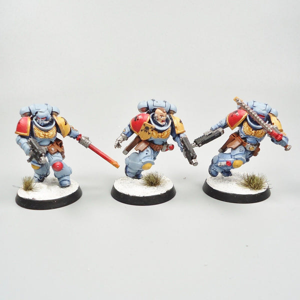 Warhammer 40k Space Marines Space Wolves Assault Intercessors x5 Painted