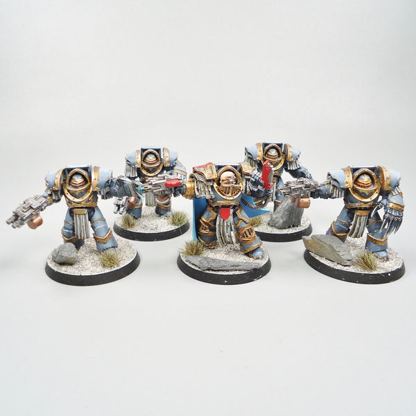 Warhammer 30k Horus Heresy Space Marines Space Wolves Cataphractii Terminators