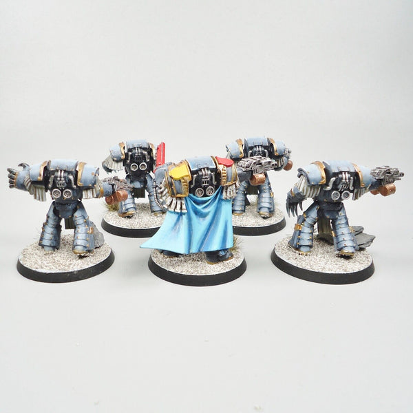 Warhammer 30k Horus Heresy Space Marines Space Wolves Cataphractii Terminators