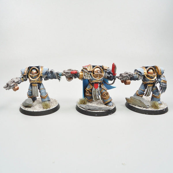 Warhammer 30k Horus Heresy Space Marines Space Wolves Cataphractii Terminators