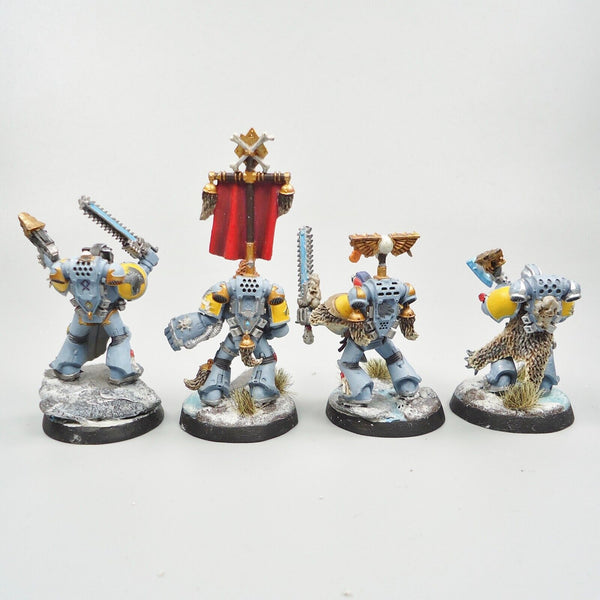 Warhammer 40k Space Marines Space Wolves x4 Painted