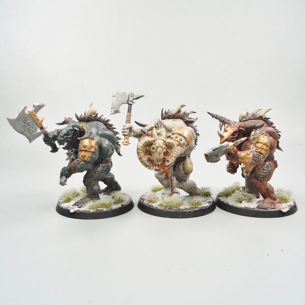 Warhammer Fantasy Age of Sigmar Beasts Of Chaos Beastmen Minotaurs x3 Painted