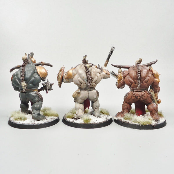 Warhammer Fantasy Age of Sigmar Beasts Of Chaos Beastmen Minotaurs x3 Painted