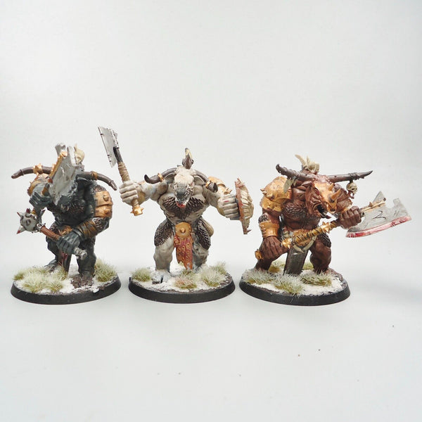 Warhammer Fantasy Age of Sigmar Beasts Of Chaos Beastmen Minotaurs x3 Painted