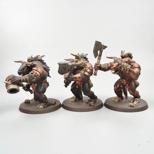 Warhammer Fantasy Age of Sigmar Beasts Of Chaos Beastmen Minotaurs x3 Painted