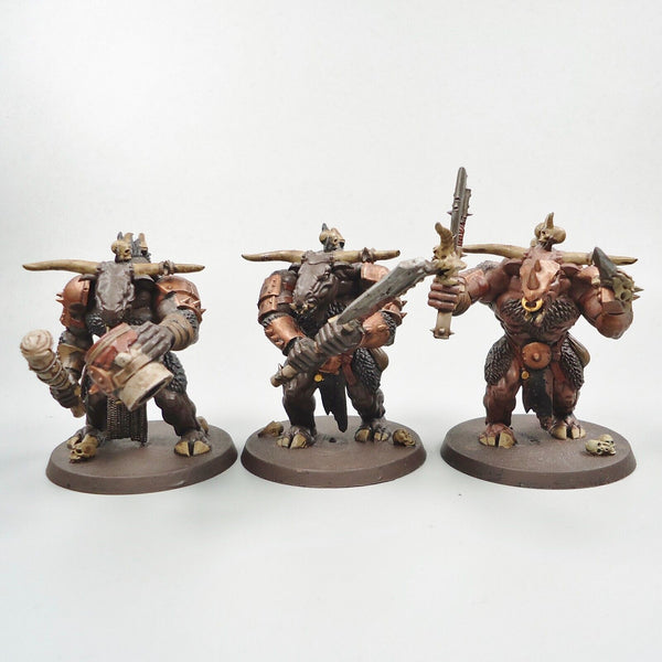 Warhammer Fantasy Age of Sigmar Beasts Of Chaos Beastmen Minotaurs x3 Painted