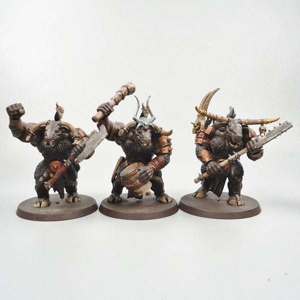 Warhammer Fantasy Age of Sigmar Beasts Of Chaos Beastmen Minotaurs x3 Painted