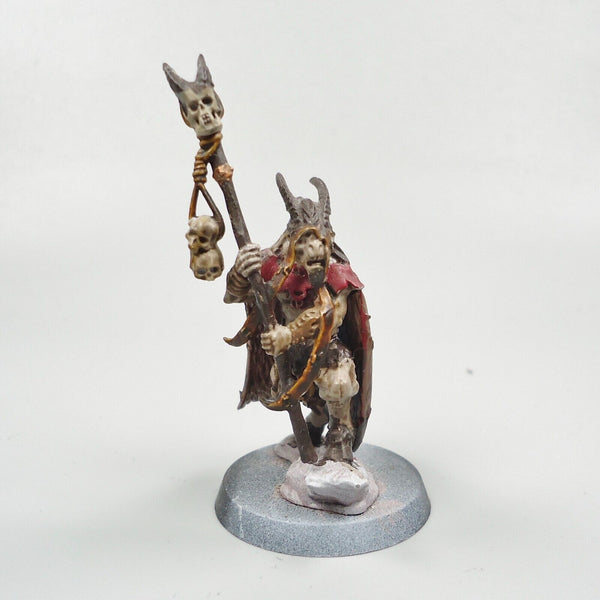 Warhammer Fantasy Age of Sigmar Beasts Of Chaos Beastmen Bray Shaman Painted