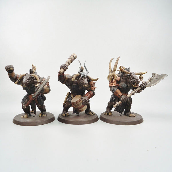 Warhammer Fantasy Age of Sigmar Beasts Of Chaos Beastmen Minotaurs x3 Painted