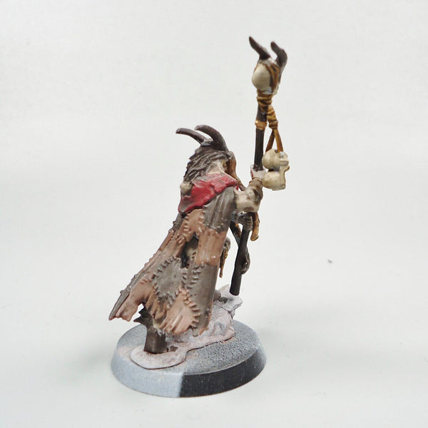 Warhammer Fantasy Age of Sigmar Beasts Of Chaos Beastmen Bray Shaman Painted