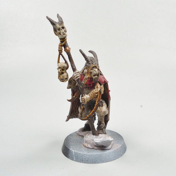 Warhammer Fantasy Age of Sigmar Beasts Of Chaos Beastmen Bray Shaman Painted