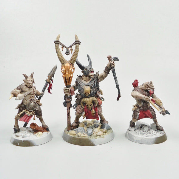 Warhammer Fantasy Age of Sigmar Beasts Of Chaos Beastmen Grashrak's Despoilers