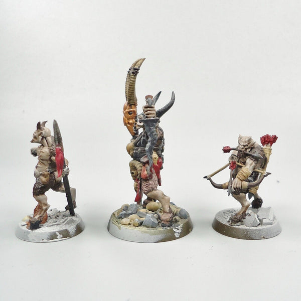 Warhammer Fantasy Age of Sigmar Beasts Of Chaos Beastmen Grashrak's Despoilers