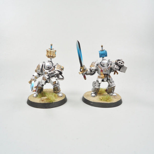 Warhammer 40k Army Space Marines Grey Knights Paladins Squad Painted