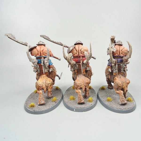 Ogre Mawtribes Mournfang Riders x3 Painted - Warhammer Fantasy Age of Sigmar