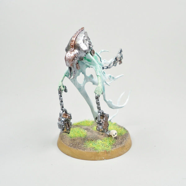 Warhammer Age Of Sigmar Army Nighthaunt Spirit Torment Painted