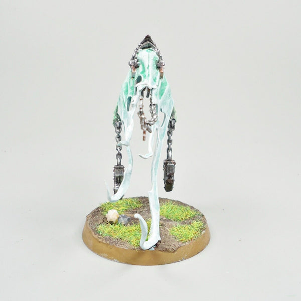 Warhammer Age Of Sigmar Army Nighthaunt Spirit Torment Painted