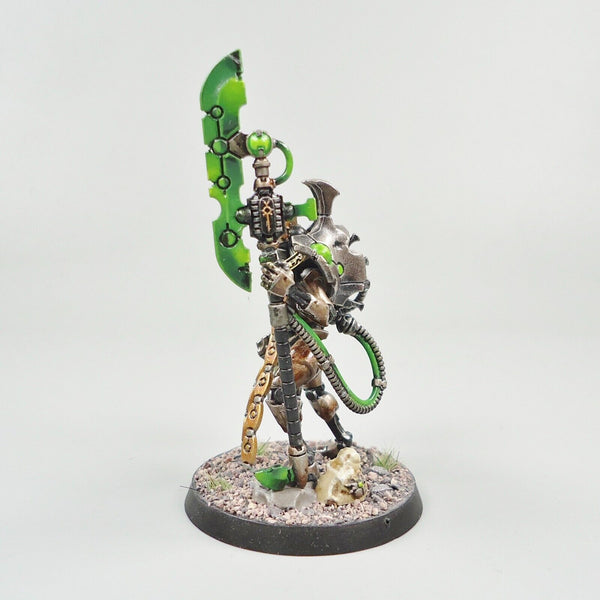 Warhammer 40k Army Necrons Necron Overlord Painted