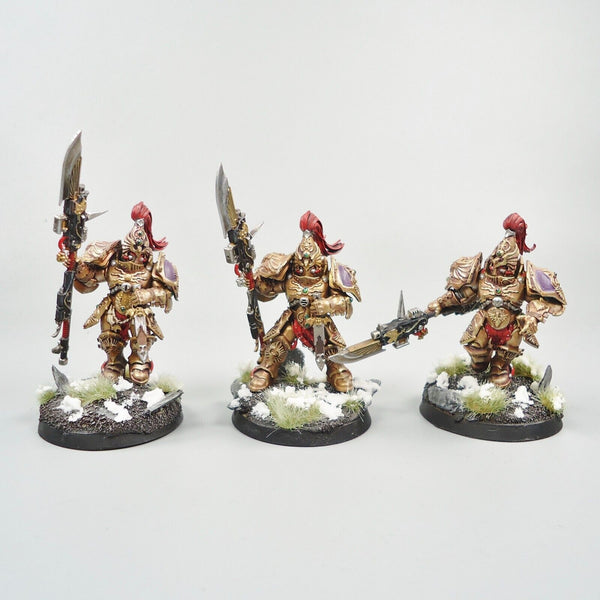 Warhammer 40k Army Adeptus Custodes Custodian Guard Squad Painted